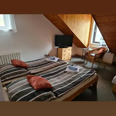 Gasthuis U Jezerniho Potoka 3*