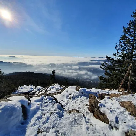 U Jezerniho Potoka 3* Železná Ruda
