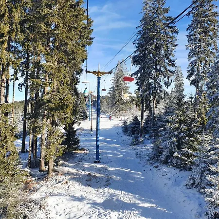 U Jezerniho Potoka Gasthuis Železná Ruda