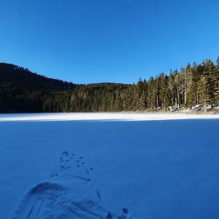 U Jezerniho Potoka Železná Ruda