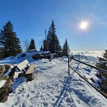 U Jezerniho Potoka Gasthuis Železná Ruda
