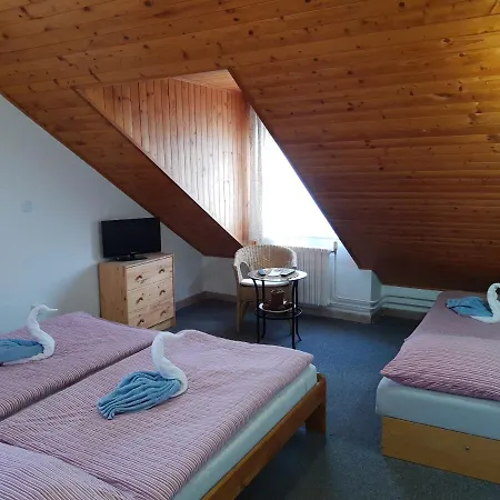 U Jezerniho Potoka Maison d'hôtes Železná Ruda