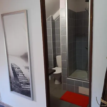 U Jezerniho Potoka Maison d'hôtes Železná Ruda