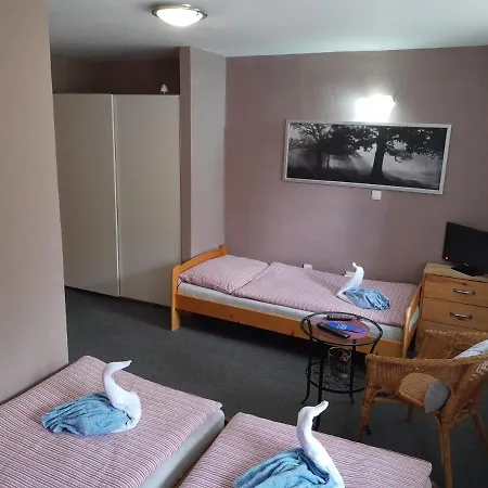 U Jezerniho Potoka 3* Železná Ruda