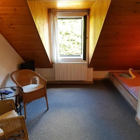 Maison d'hôtes U Jezerniho Potoka 3*